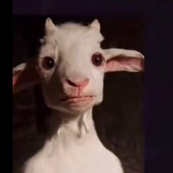 Dunkin' - Me after 5 months of bullshit - Donuts Near Me - Clarks Summit, Pennsylvania Dunkin' - Me after 5 months of bullshit - Donuts Near Me - Clarks Summit, Pennsylvania
