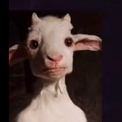 Dunkin' - Me after 5 months of bullshit