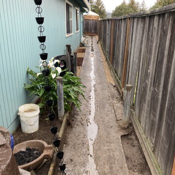 Esteban Gonzalez - a narrow path between two houses - Landscaping Near Me Esteban Gonzalez - a narrow path between two houses - Landscaping Near Me