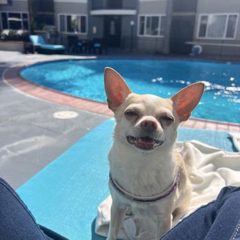 1200 Riverside - So happy in the sun. - Apartments Near Me - Burbank, California