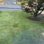 Three Brothers & Sons Landscaping
