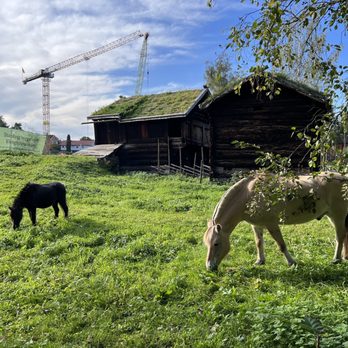 Norsk folkemuseum - Museums Near Me - Oslo, 03