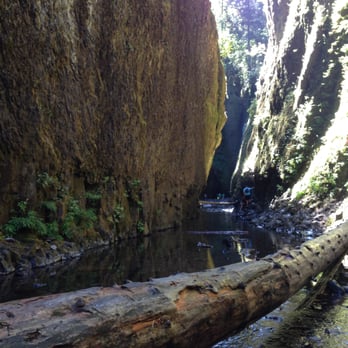 Oneonta Falls - Parks Near Me - Corbett, Oregon Oneonta Falls - Parks Near Me - Corbett, Oregon