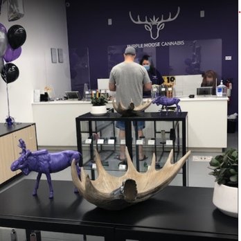 Purple Moose Weed Store Oshawa - Cannabis Dispensaries Near Me - Oshawa, Ontario Purple Moose Weed Store Oshawa - Cannabis Dispensaries Near Me - Oshawa, Ontario