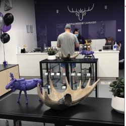 Purple Moose Weed Store Oshawa