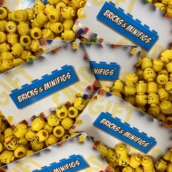 Bricks & Minifigs
