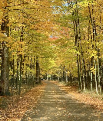 Presque Isle Park by null