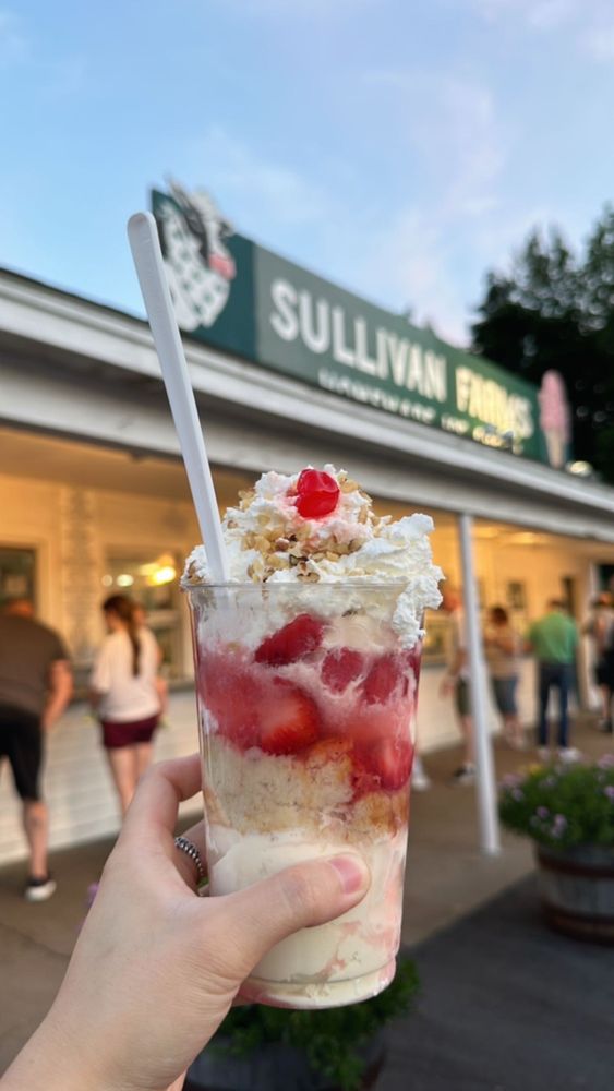 Sullivan Farms Homemade Ice Cream Logo