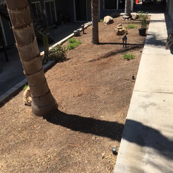 Johnny's Landscape & Maintenance - Landscaping Near Me - Spring Valley, California Johnny's Landscape & Maintenance - Landscaping Near Me - Spring Valley, California
