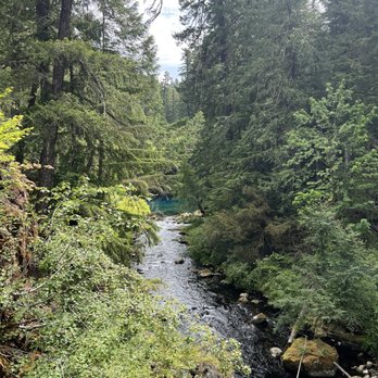 Tamolitch Blue Pools - Hiking Near Me