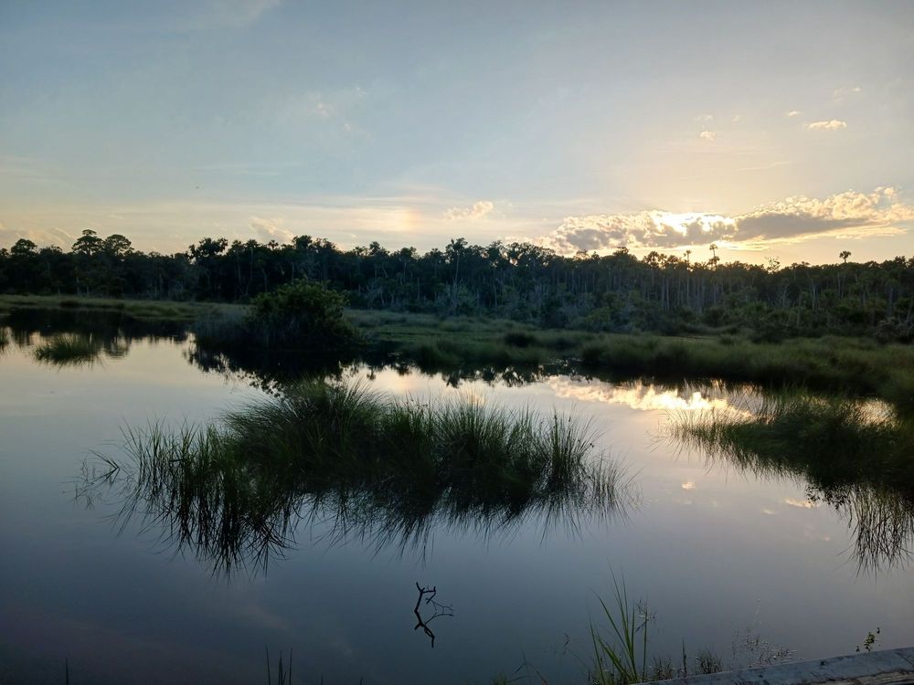 Bulow Creek State Park Image