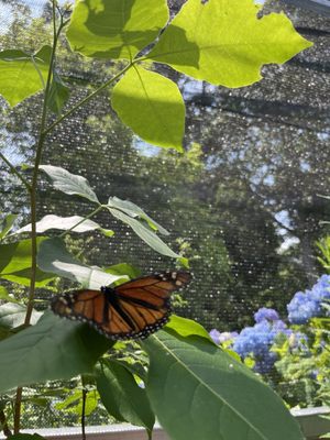 Cape Cod Museum Of Natural History by null