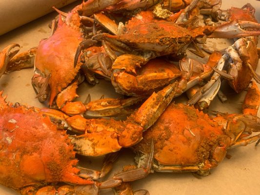 Captain White Seafood City by null Captain White Seafood City by null