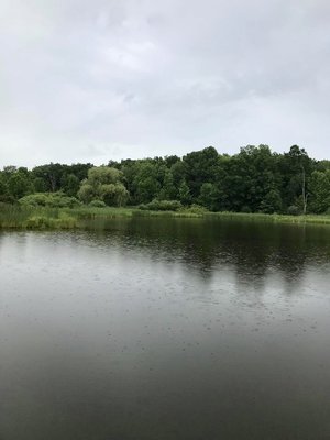 Finger Lakes National Forest by null