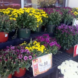 Stop & Shop Florist