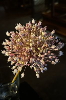 The Bull and Beggar by null