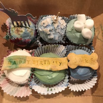 Dog Eat Cake - Bakeries Near Me - Boston, Massachusetts