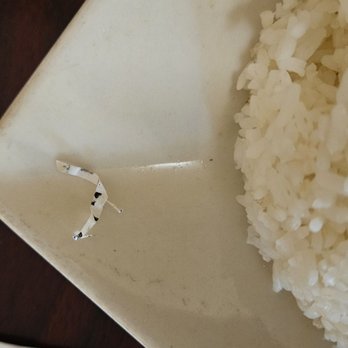 Thai Basil - Plastic thing in rice - Thai Near Me - Chico, California