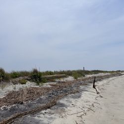 Morris island