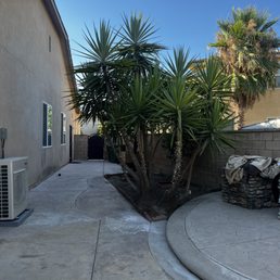 Side yard