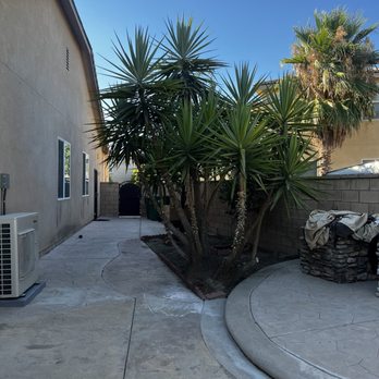 Matthew  Landscaping & Tree Services - Side yard - Landscaping Near Me