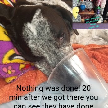 MedVet Akron - All they did was put him to sleep no test no help! - Veterinarians Near Me - Akron, Ohio