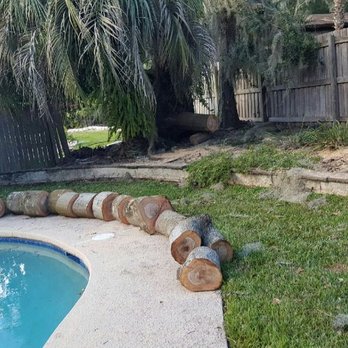 Stumphead Stump Grinding - A large oak fell on the fence and the telephone line. Grant cut up the tree in more manageable sections. 10/11/16 - Tree Services Near Me
