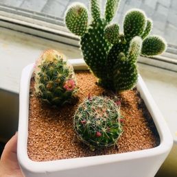 A new, beautiful addition to my collection! (Everything from 7 Dees)