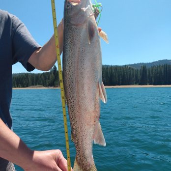 Big Cove Resort - 22 inch rainbow trout caught in Lake Almanor! @bigcoveresort - Resorts Near Me - Westwood, California Big Cove Resort - 22 inch rainbow trout caught in Lake Almanor! @bigcoveresort - Resorts Near Me - Westwood, California