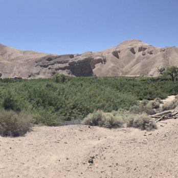 China Ranch Date Farm - Ranches Near Me - Tecopa, California