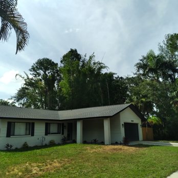 Tree and Palm Service - Pine tree removal , stump grinding - Tree Services Near Me - Clearwater, Florida Tree and Palm Service - Pine tree removal , stump grinding - Tree Services Near Me - Clearwater, Florida