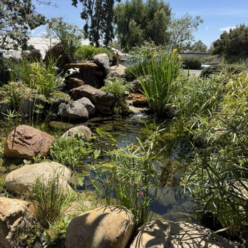 Fallbrook Coffee Co - The pond - New American Near Me - Fallbrook, California