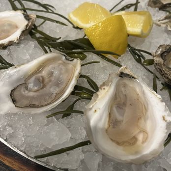 The Station - Oysters - Music Venues Near Me - Winston-Salem, North Carolina The Station - Oysters - Music Venues Near Me - Winston-Salem, North Carolina