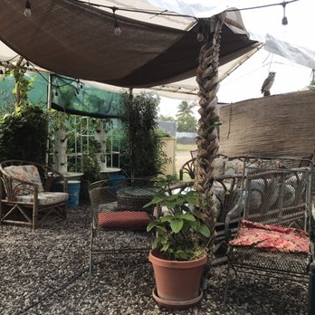Auntys Lil Green Hut - It feels so inviting with the furniture, plants & plenty shade it's hard to leave! - Food Stands Near Me - Kahuku, Hawaii Auntys Lil Green Hut - It feels so inviting with the furniture, plants & plenty shade it's hard to leave! - Food Stands Near Me - Kahuku, Hawaii