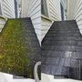 CNY Roof Cleaners