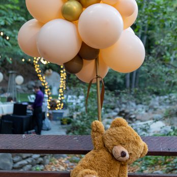 Dina's Deluxe Events - Party & Event Planning Near Me - Los Gatos, California