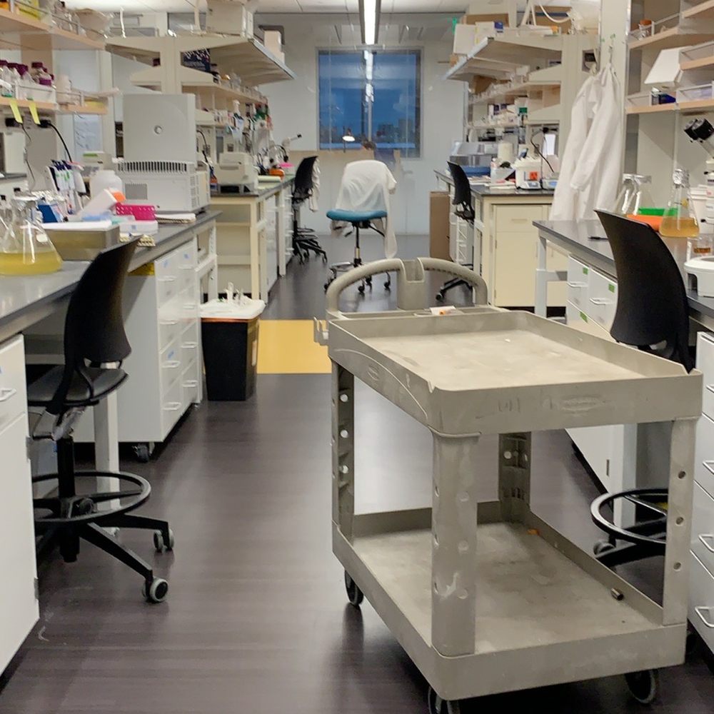Biodesign Institute - Colleges & Universities Near Me - Tempe, Arizona Biodesign Institute - Colleges & Universities Near Me - Tempe, Arizona