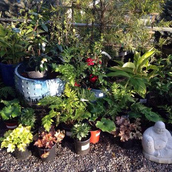 Dig Gardens - Aptos - Nurseries & Gardening Near Me - Aptos, California
