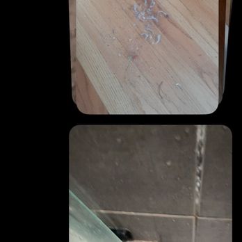 Villa Dubois - Dirty everywhere so I sent a message to the host - Vacation Rentals Near Me - Chicago, Illinois Villa Dubois - Dirty everywhere so I sent a message to the host - Vacation Rentals Near Me - Chicago, Illinois