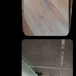 Villa Dubois - Dirty everywhere so I sent a message to the host