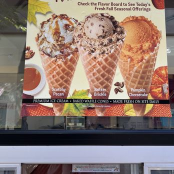 Bruster's Real Ice Cream - Kicking myself for not ordering scotch toe an.  I saw this photo after I ordered mint chocolate chip. - Desserts Near Me - La Canada, California