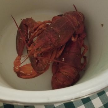 Weekapaug Inn - Lobstah - Hotels Near Me - Westerly, Rhode Island