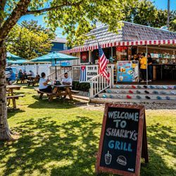 Sharkys Grill & BBQ