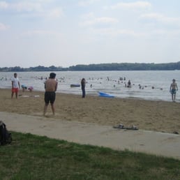 Where the beach and the grass meet Where the beach and the grass meet
