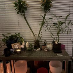 Body Temple Colonics - Inside the room