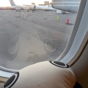 Porter Airlines - Airlines Near Me - Toronto, Ontario