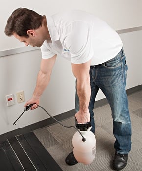 All Phase Termite & Pest Control