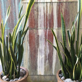 Denise Hougland, LMT - Souly Inspired - Massage Therapy Near Me - Mesa, Arizona