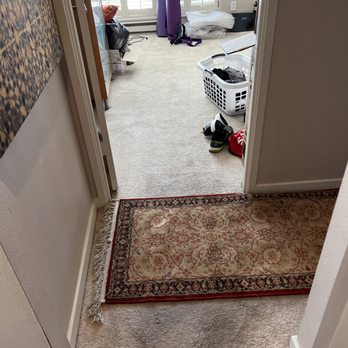 Aprel Flooring - Hallway and second bedroom carpeting. - Flooring Near Me