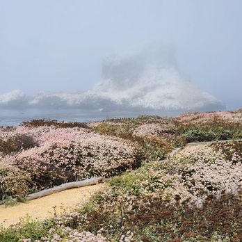 Piedras Blancas Light Station - Landmarks & Historical Buildings Near Me - San Simeon, California